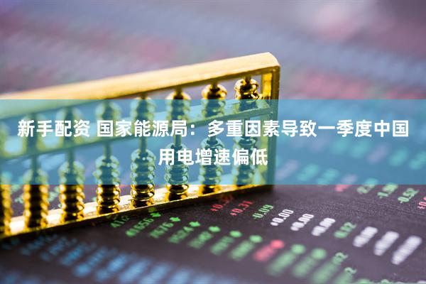 新手配资 国家能源局：多重因素导致一季度中国用电增速偏低